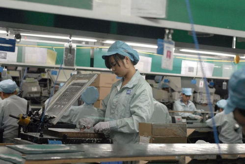 服装制造业职业危害识别与劳保用品选用指南